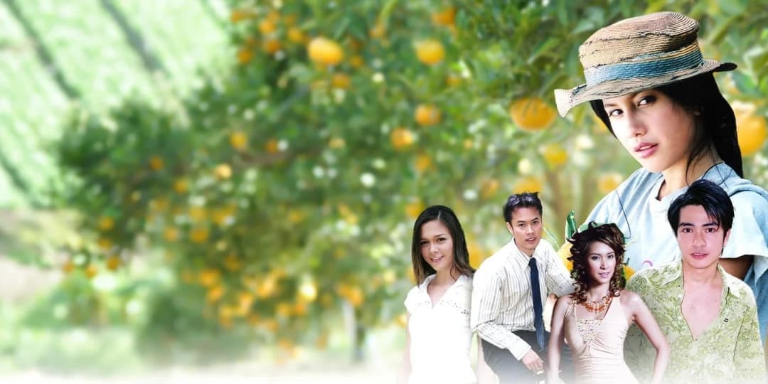 ฉากหลังจากละคร นางสาวส้มหล่น (2548)