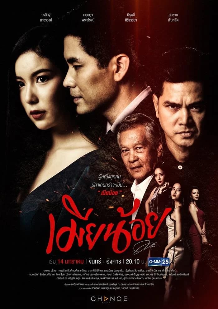 Poster of เมียน้อย as background