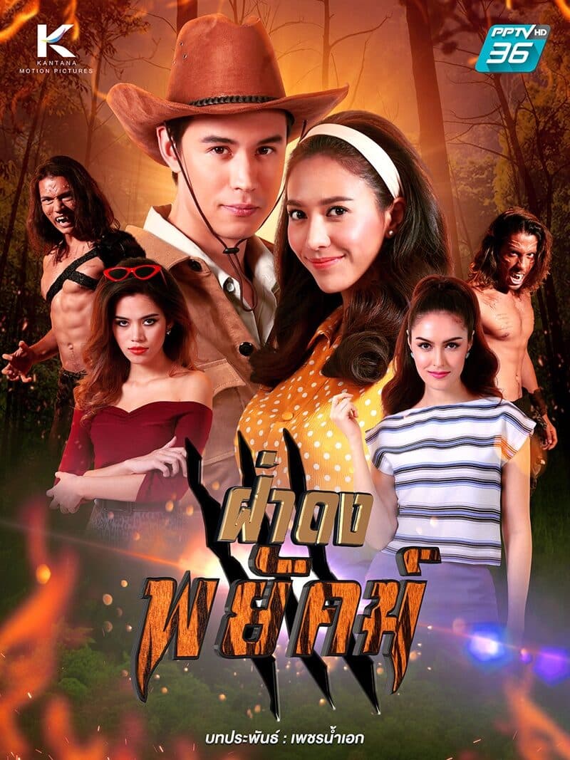 โปสเตอร์ละคร ฝ่าดงพยัคฆ์ ใช้เป็นพื้นหลัง