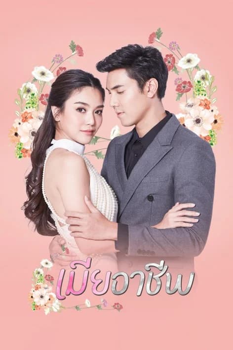 Poster of เมียอาชีพ as background