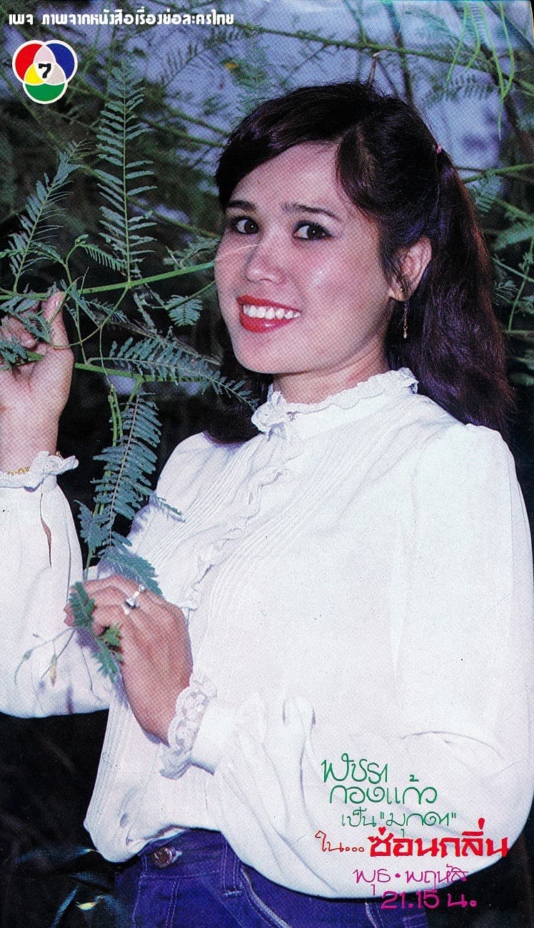 โปสเตอร์ละคร ซ่อนกลิ่น ใช้เป็นพื้นหลัง