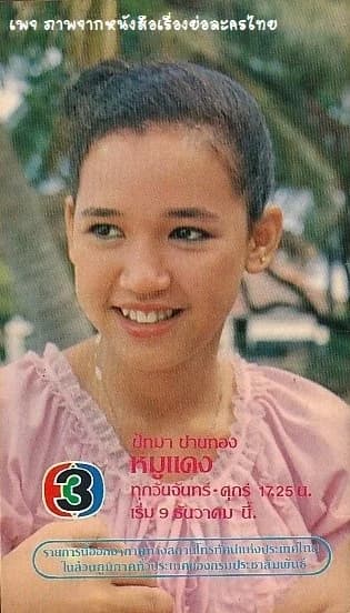 โปสเตอร์ละคร หมูแดง ใช้เป็นพื้นหลัง