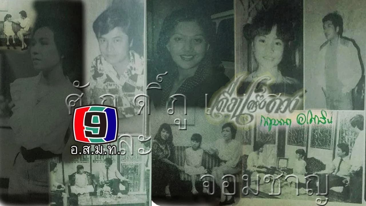 Poster of เดือนครึ่งดวง as background