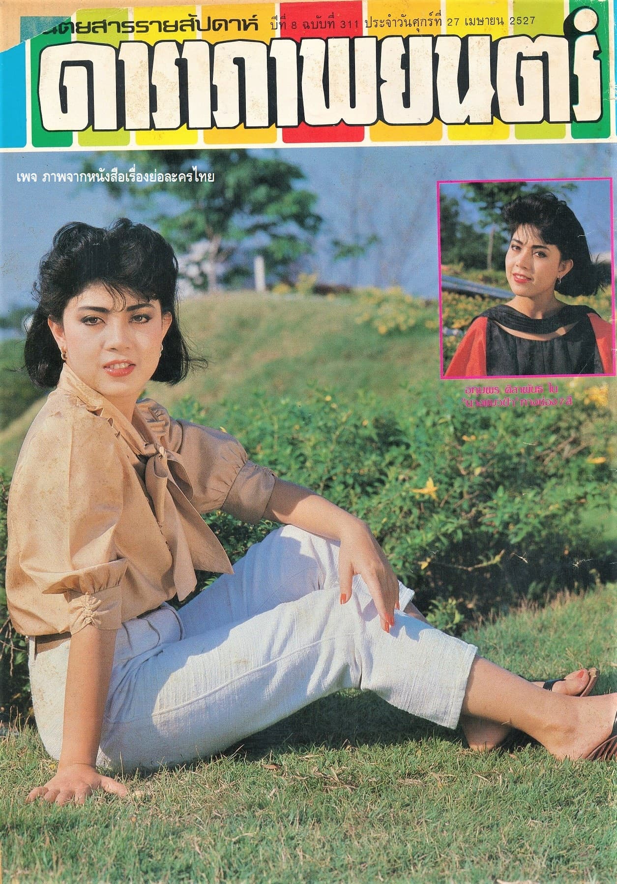 Poster of นางแมวป่า as background