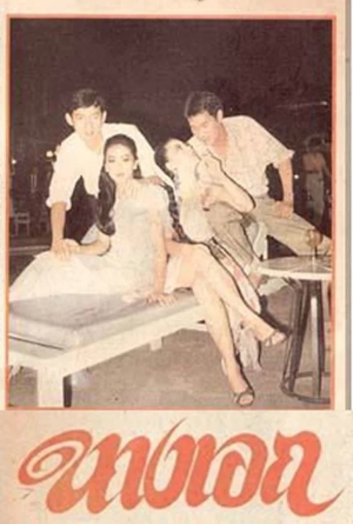 โปสเตอร์ละคร นางเอก ใช้เป็นพื้นหลัง