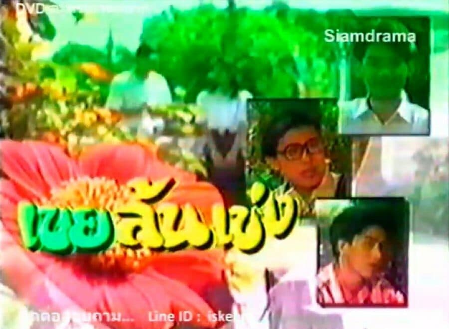 โปสเตอร์ละคร เขยล้นเข่ง ใช้เป็นพื้นหลัง