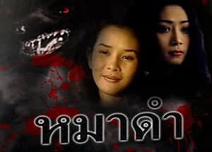 โปสเตอร์ละคร หมาดำ ใช้เป็นพื้นหลัง