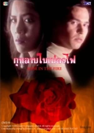 โปสเตอร์ละคร กุหลาบในเปลวไฟ ใช้เป็นพื้นหลัง