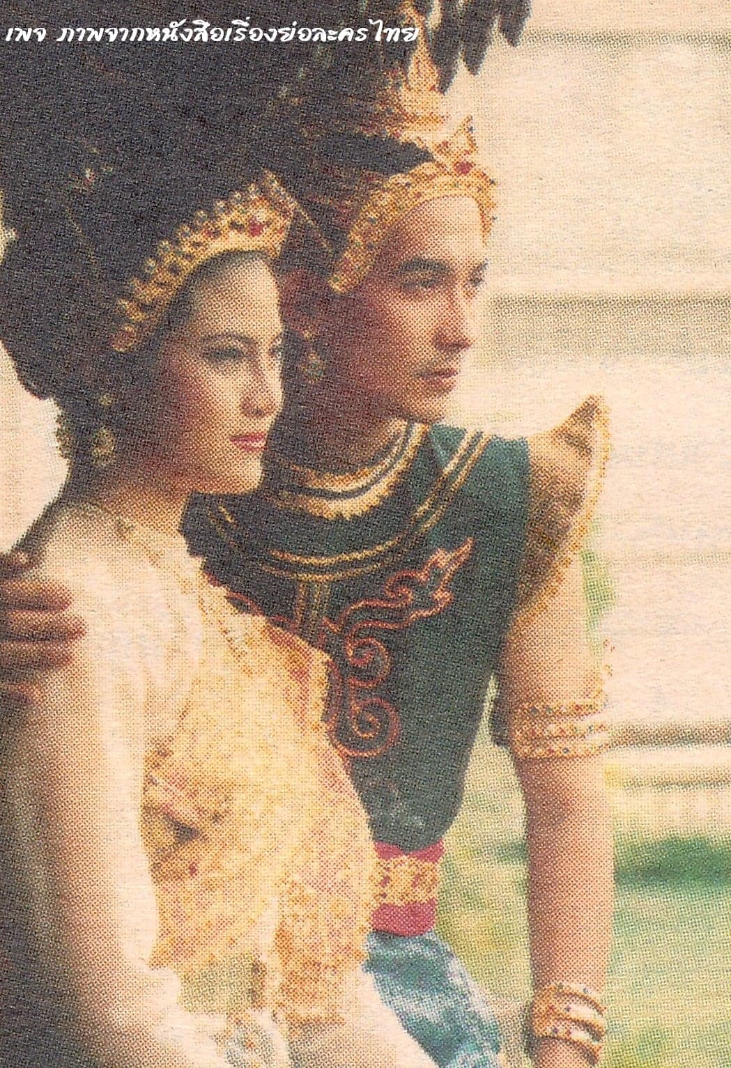 Poster of นางเสือง as background