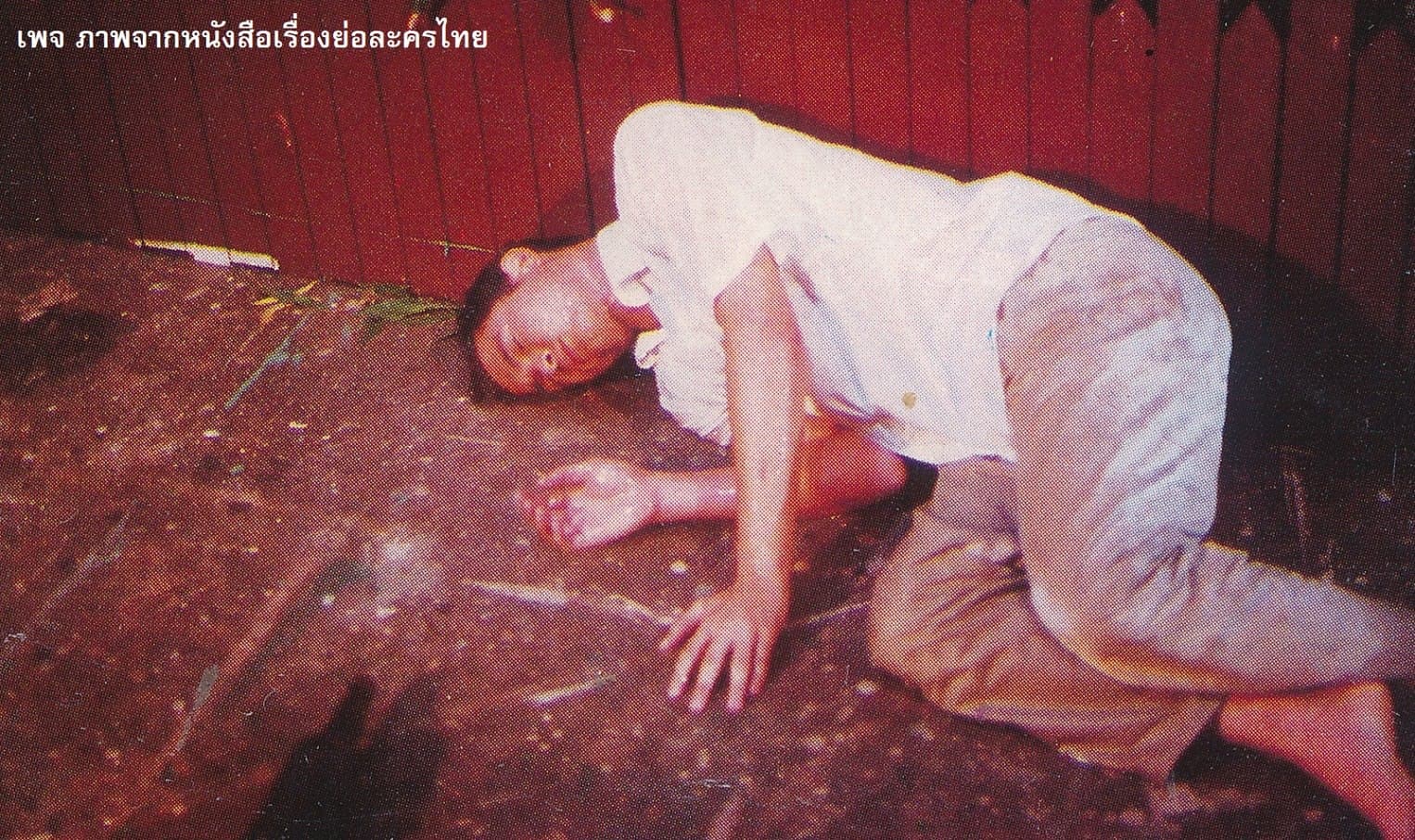 โปสเตอร์ละคร ฉุยฉาย ใช้เป็นพื้นหลัง