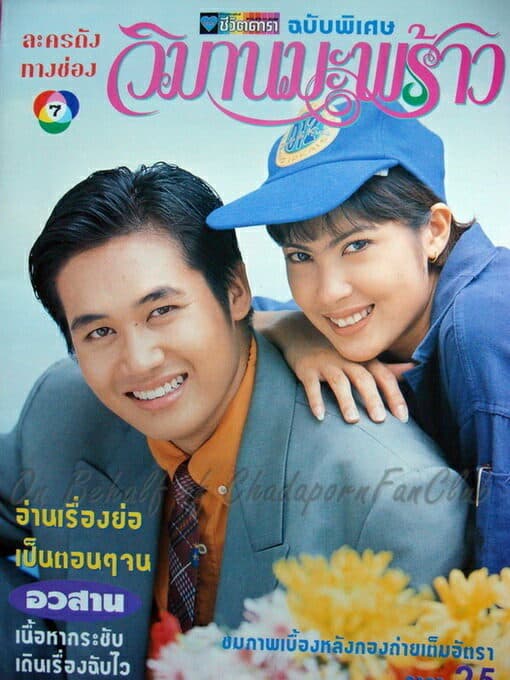 โปสเตอร์ละคร วิมานมะพร้าว ใช้เป็นพื้นหลัง