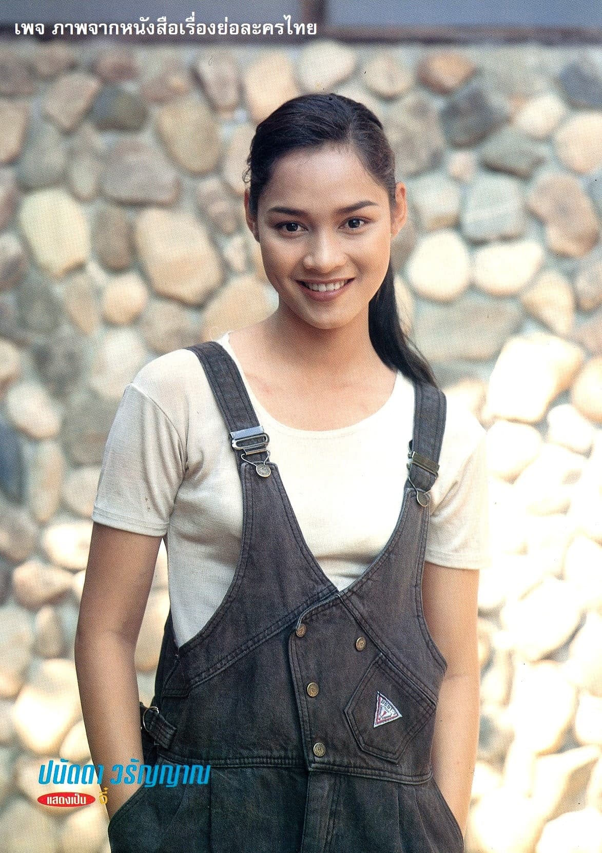 Poster of อัศจรรย์ใจไทยแลนด์ as background