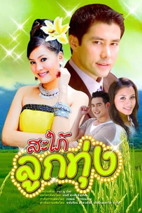 Poster of สะใภ้ลูกทุ่ง as background