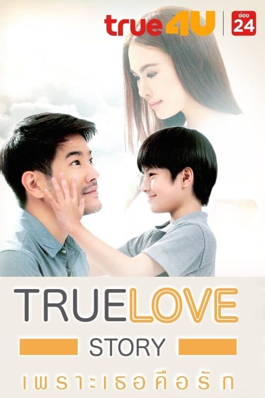 Poster of True Love Story เพราะเธอคือรัก หัวใจผูกกัน as background