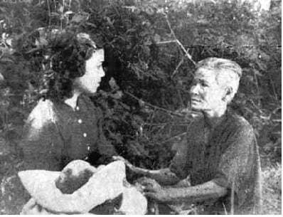 โปสเตอร์ภาพยนตร์ เสือทุ่ง ใช้เป็นพื้นหลัง