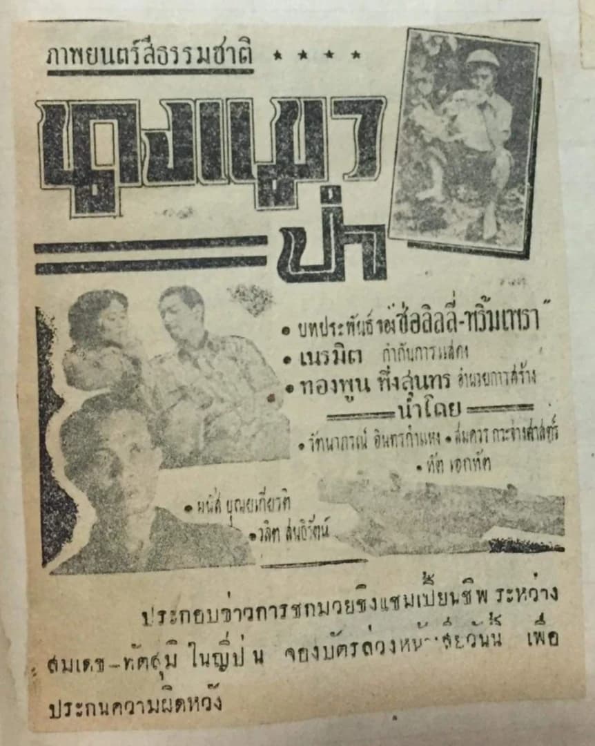 โปสเตอร์ภาพยนตร์ นางแมวป่า ใช้เป็นพื้นหลัง