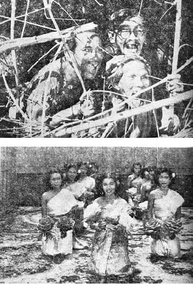 โปสเตอร์ภาพยนตร์ วิญญาณคนอง ใช้เป็นพื้นหลัง