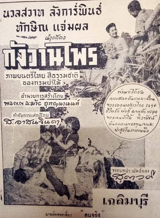 โปสเตอร์ภาพยนตร์ กังวานไพร ใช้เป็นพื้นหลัง