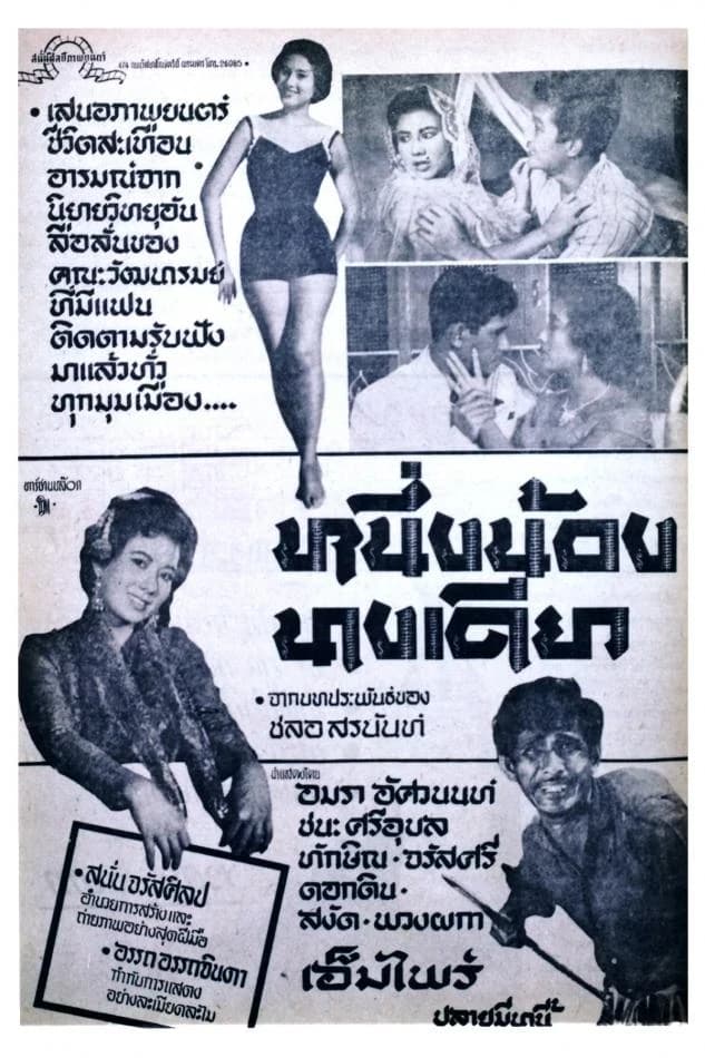 โปสเตอร์ภาพยนตร์ หนึ่งน้องนางเดียว ใช้เป็นพื้นหลัง