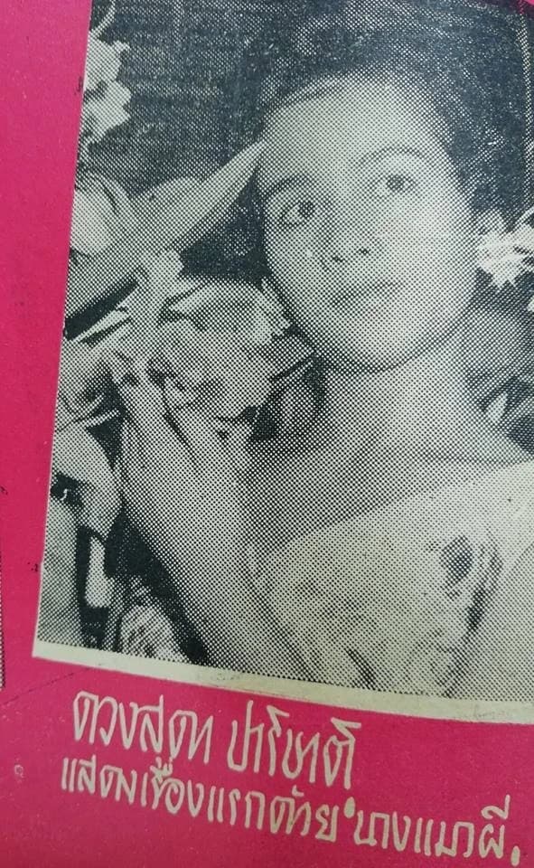 โปสเตอร์ภาพยนตร์ นางแมวผี ใช้เป็นพื้นหลัง