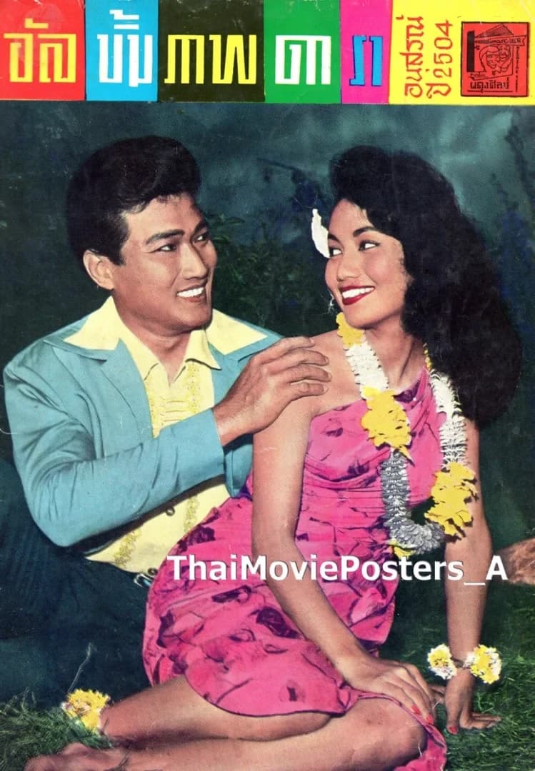 โปสเตอร์ภาพยนตร์ ดรรชนีนาง ใช้เป็นพื้นหลัง