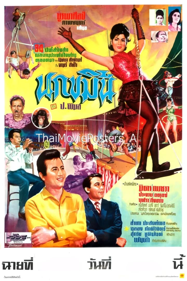 โปสเตอร์ภาพยนตร์ นกขมิ้น ใช้เป็นพื้นหลัง