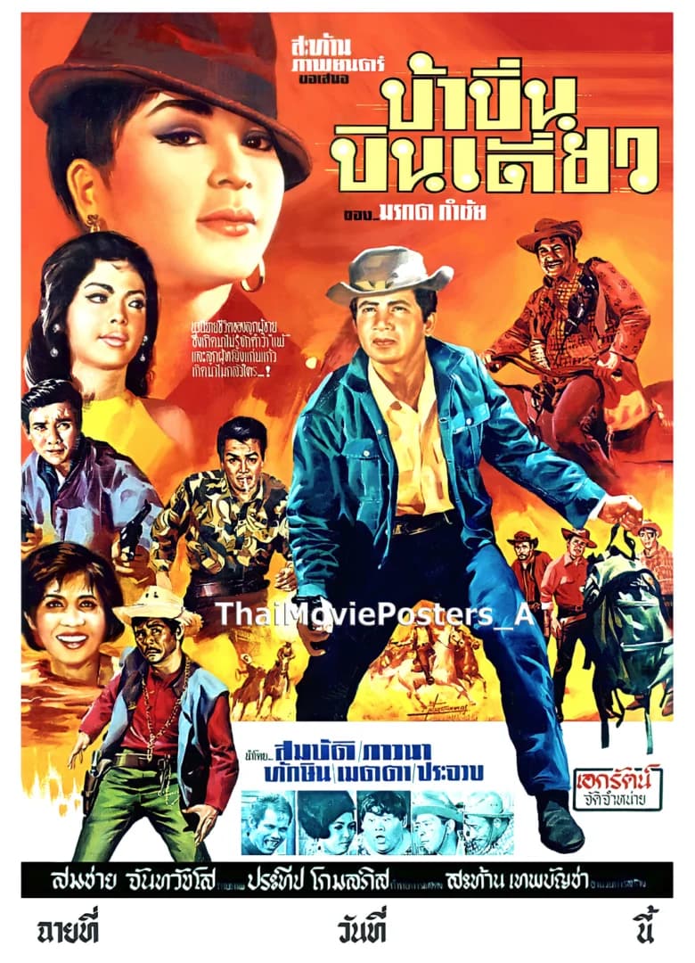 โปสเตอร์ภาพยนตร์ บ้าบิ่นบินเดี่ยว ใช้เป็นพื้นหลัง