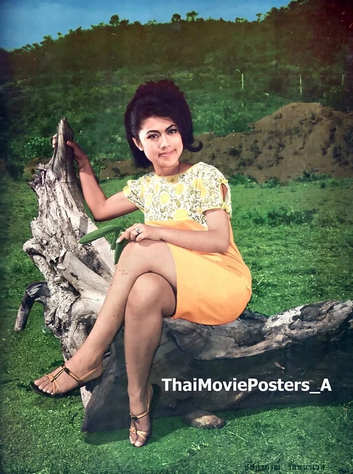 โปสเตอร์ภาพยนตร์ สิงห์เหนือเสือใต้ ใช้เป็นพื้นหลัง