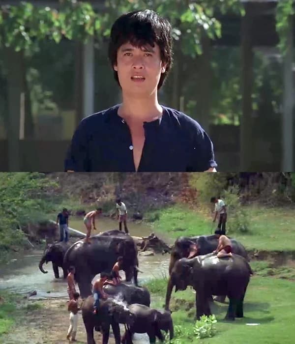 โปสเตอร์ภาพยนตร์ รักเธอเท่าช้าง ใช้เป็นพื้นหลัง