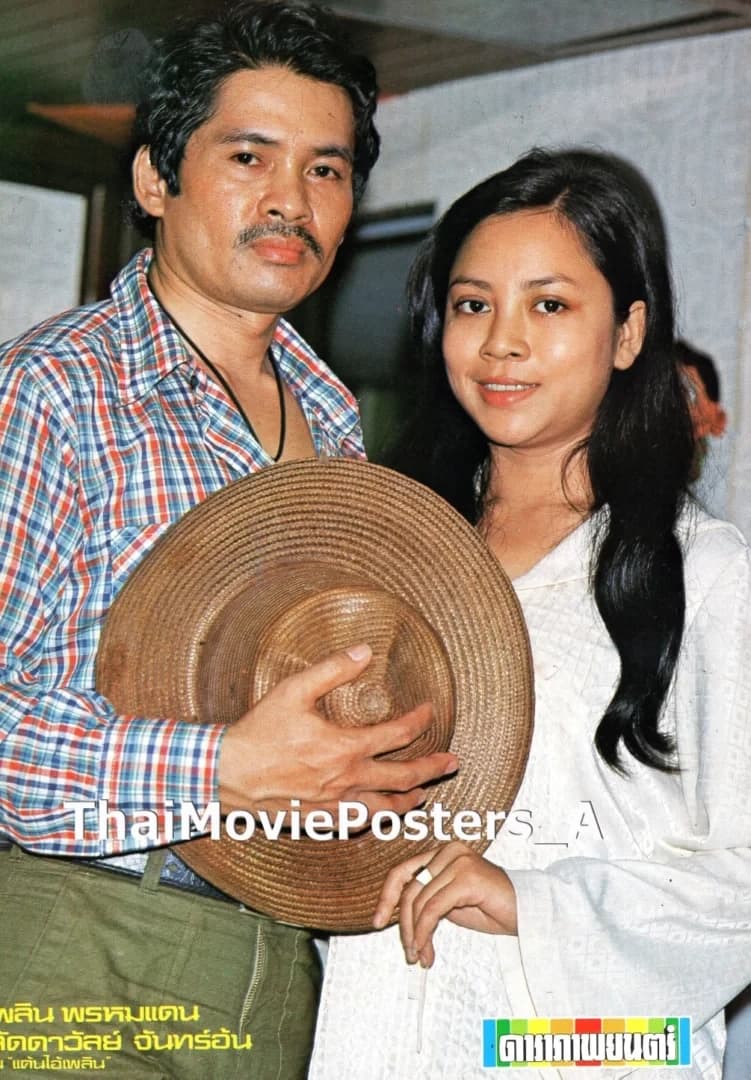 โปสเตอร์ภาพยนตร์ แค้นไอ้เพลิน ใช้เป็นพื้นหลัง