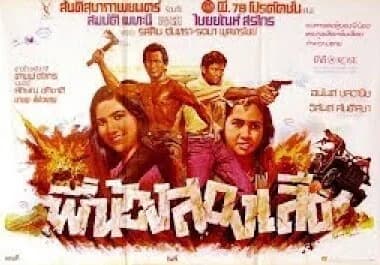 โปสเตอร์ภาพยนตร์ พี่น้องสองเสือ ใช้เป็นพื้นหลัง