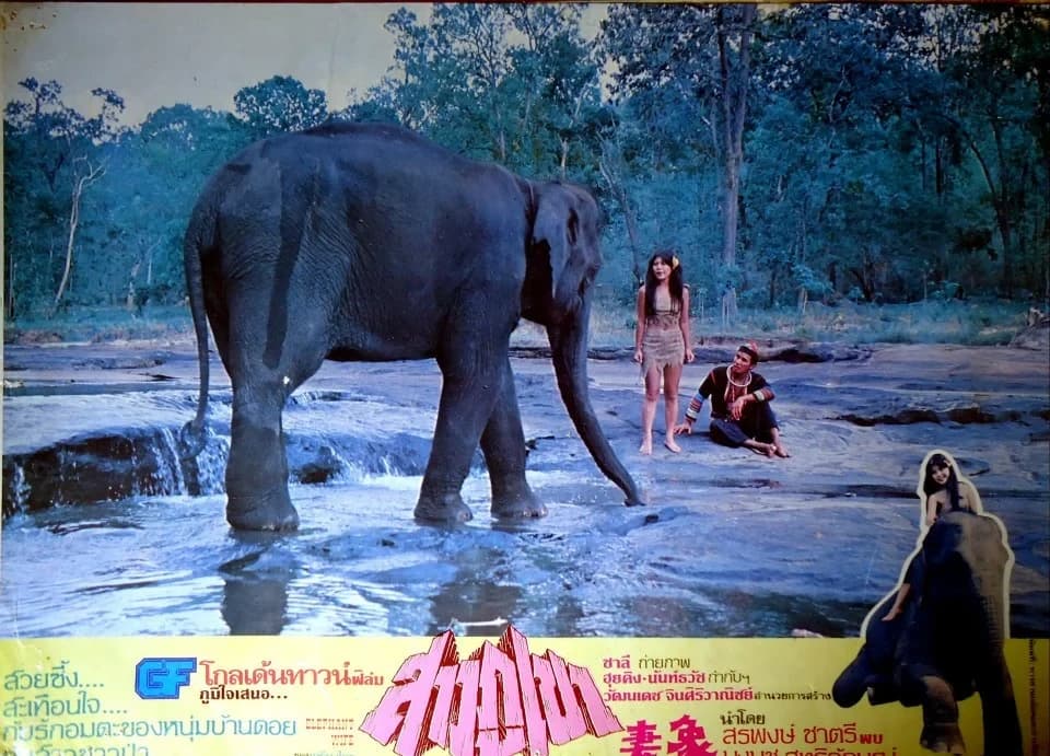 โปสเตอร์ภาพยนตร์ สาวภูเขา ใช้เป็นพื้นหลัง