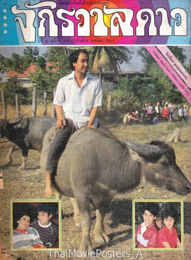 โปสเตอร์ภาพยนตร์ ลูกทุ่งพเนจร ใช้เป็นพื้นหลัง