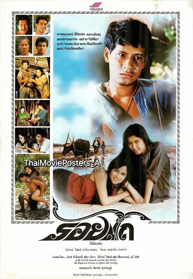 โปสเตอร์ภาพยนตร์ รอยไถ ใช้เป็นพื้นหลัง