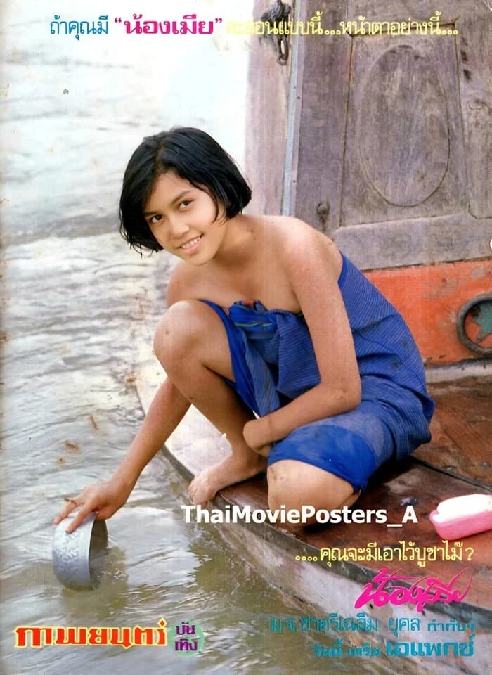 โปสเตอร์ภาพยนตร์ น้องเมีย ใช้เป็นพื้นหลัง