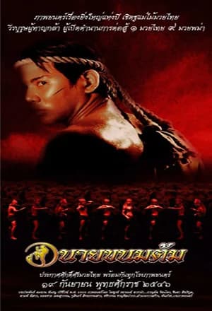 โปสเตอร์ภาพยนตร์ นายขนมต้ม ใช้เป็นพื้นหลัง