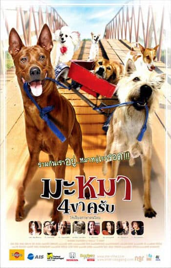 โปสเตอร์ภาพยนตร์ มะหมา 4 ขาครับ ใช้เป็นพื้นหลัง