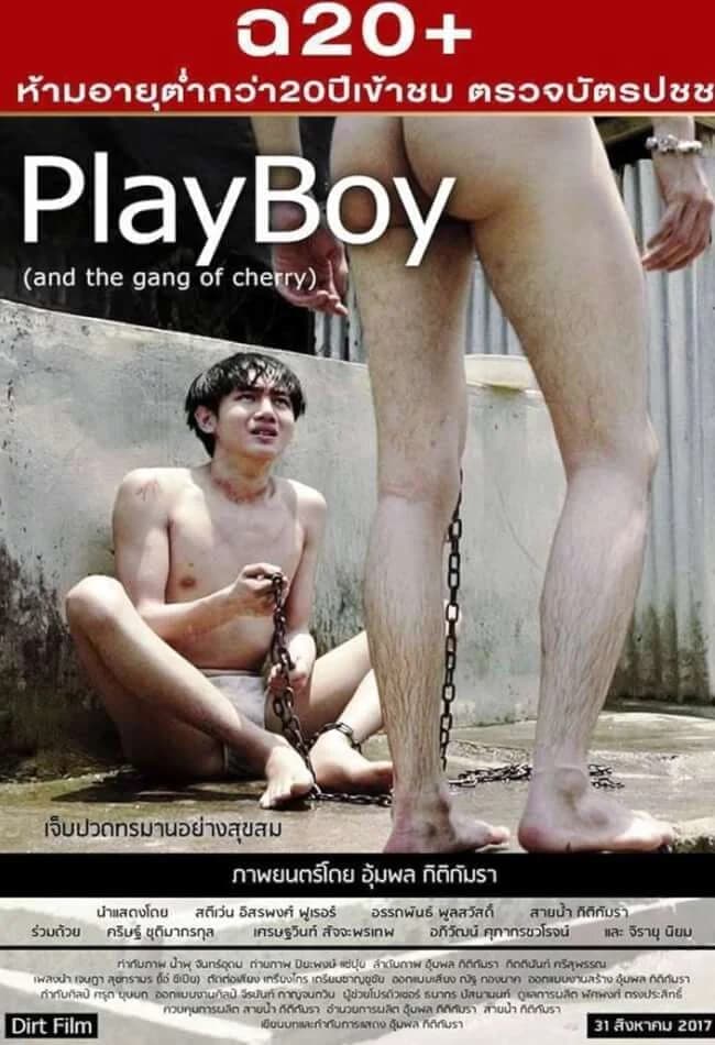 โปสเตอร์ภาพยนตร์ PlayBoy (and the gang of cherry) ใช้เป็นพื้นหลัง
