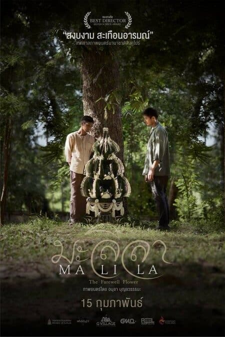 โปสเตอร์ภาพยนตร์ มะลิลา MALILA The Farewell Flower ใช้เป็นพื้นหลัง
