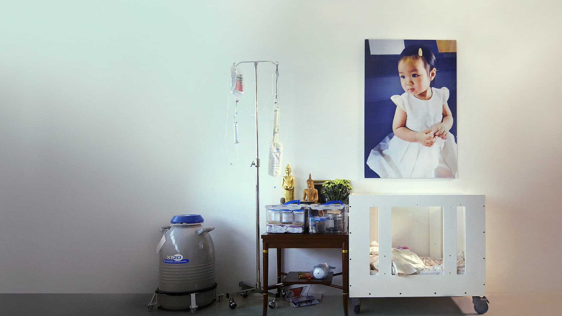 โปสเตอร์ภาพยนตร์ ความหวังแช่แข็ง: ขอเกิดอีกครั้ง ใช้เป็นพื้นหลัง