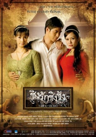 โปสเตอร์ภาพยนตร์ ชิงรักชิงชัง ใช้เป็นพื้นหลัง