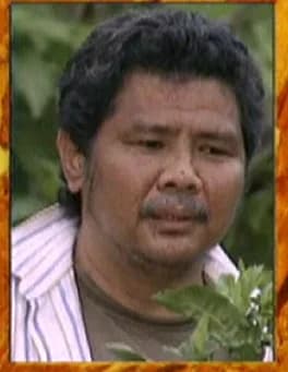 ทวิน เคล้าเครือ