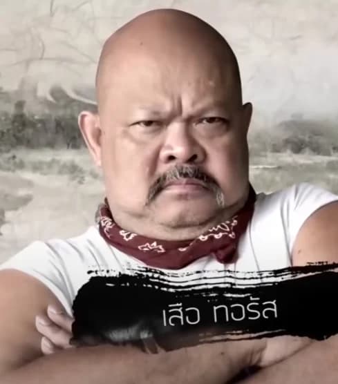 เสือ ทอรัส