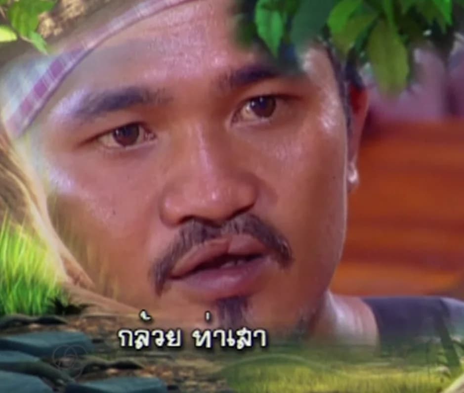 กล้วย ท่าเสา