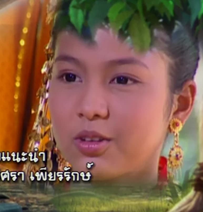 นริศรา เพียรรักษ์ cover