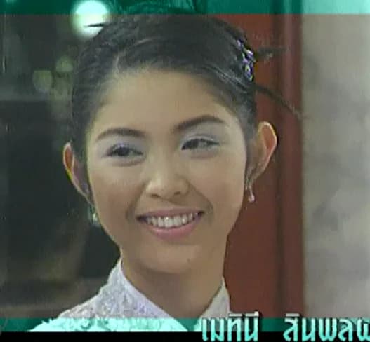 เมทินี สินพูลผล