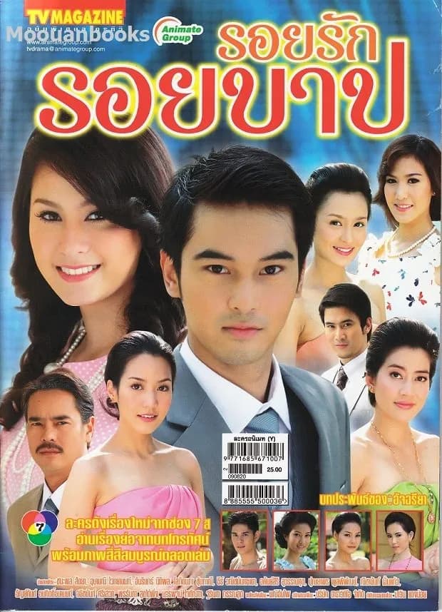 โปสเตอร์ละคร รอยรักรอยบาป ใช้เป็นพื้นหลัง
