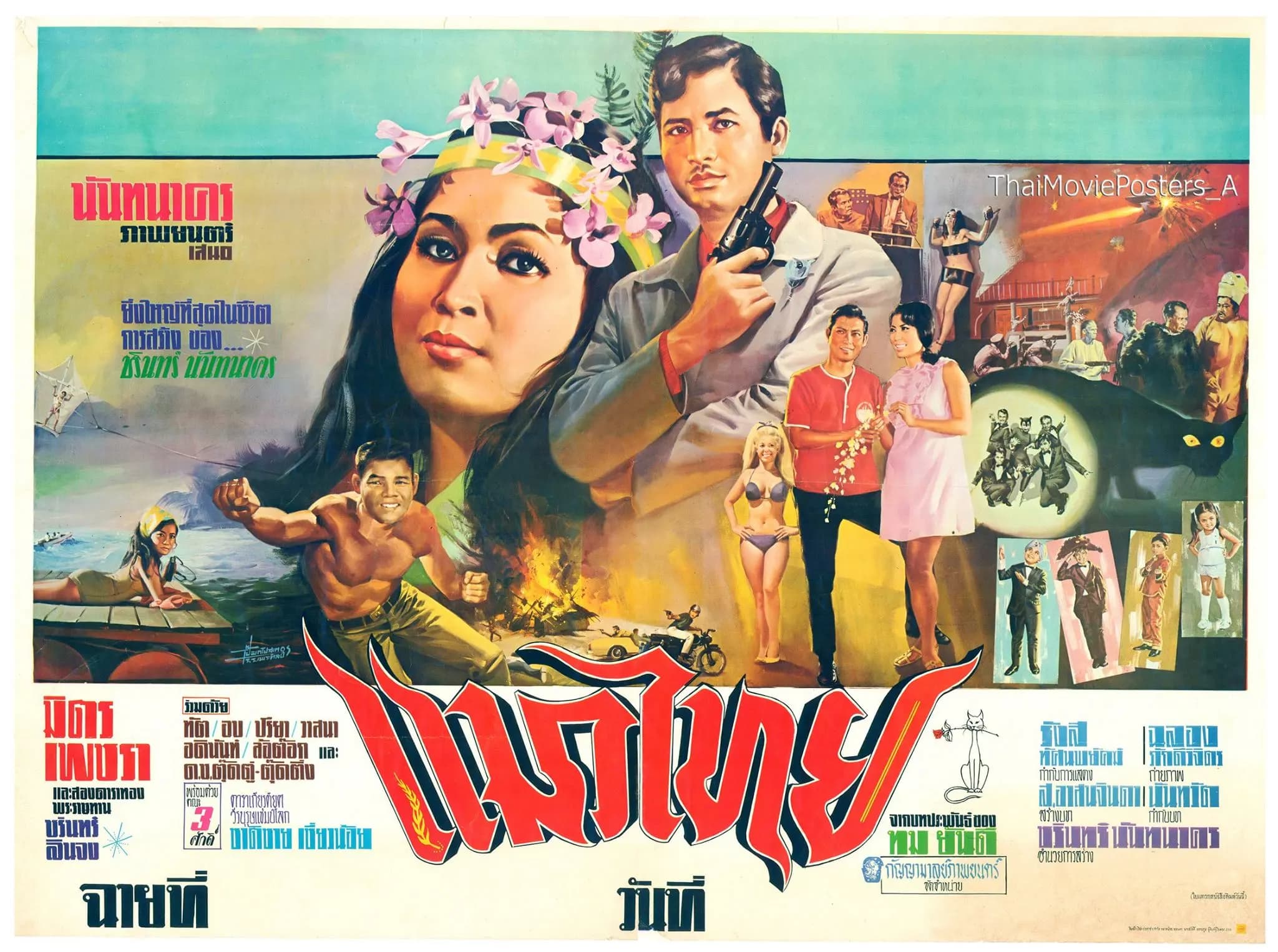 โปสเตอร์ภาพยนตร์ แมวไทย ใช้เป็นพื้นหลัง